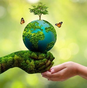 گروه پژوهشی زیست فناوری محیط زيست 